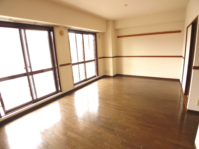 Living and room. LD is a good day on the south-facing