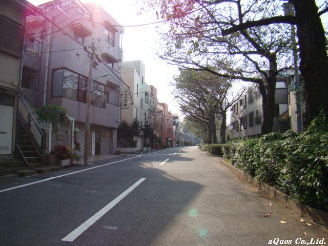 Local photos, including front road. Local (11 May 2013) Shooting