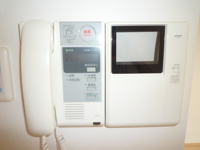 Security. Monitor phone at the time of visitors also safe