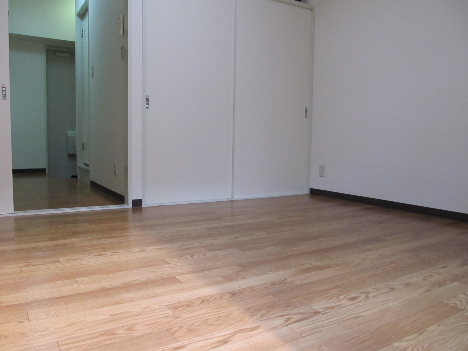 Living and room. Western style room