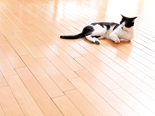 Interior.  [Electric floor heating] Not pollute the air, Adopt a healthy electric floor heating. Efficiency and well warms the entire room from the feet. (Same specifications)