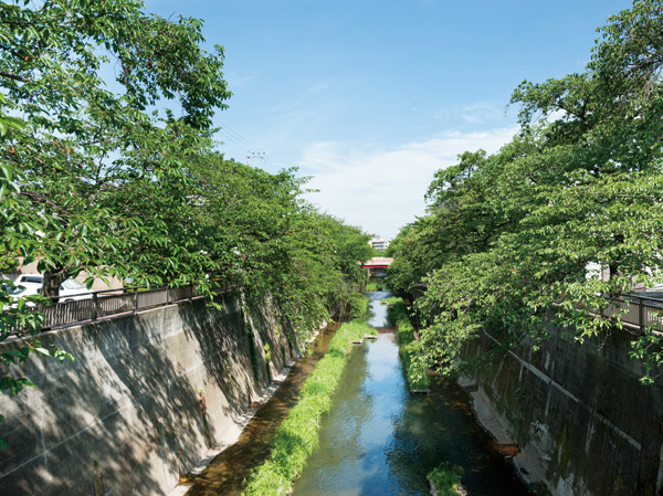 Surrounding environment. Shakujii (2-minute walk / About 150m)