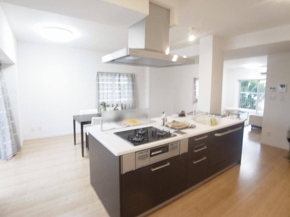 Kitchen. Indoor (September 2013) Shooting