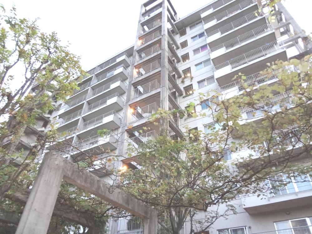 Local appearance photo. Indoor (September 2013) Shooting