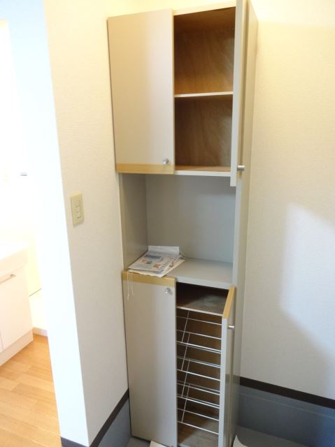 Entrance. Entrance shoe storage