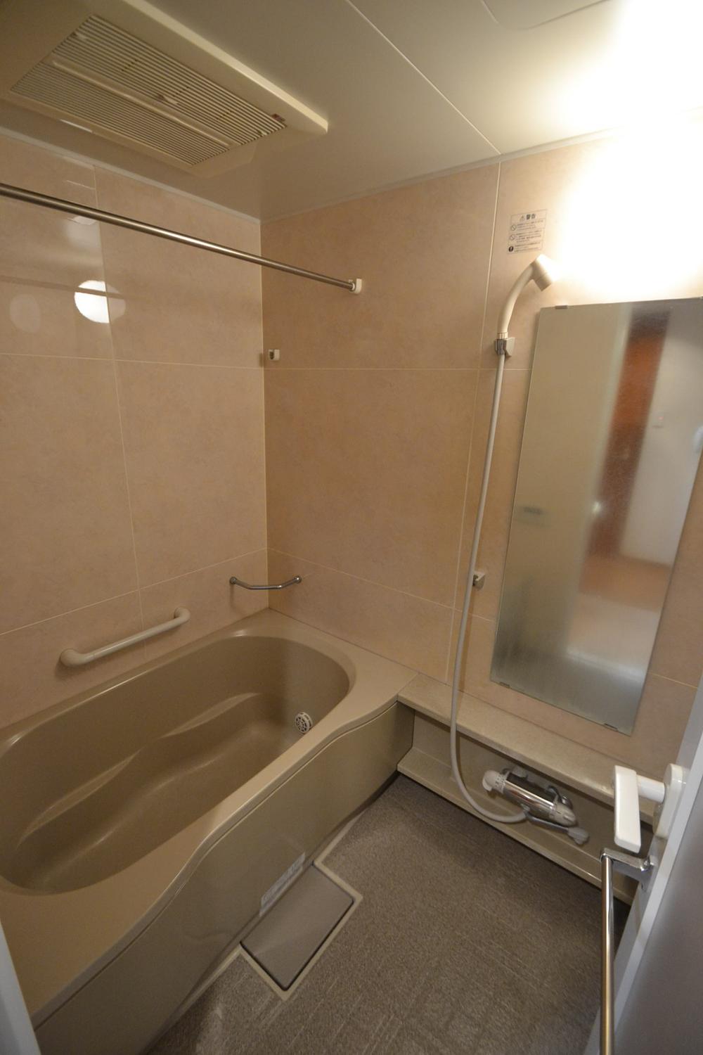 Bathroom. Local (September 2013) Shooting