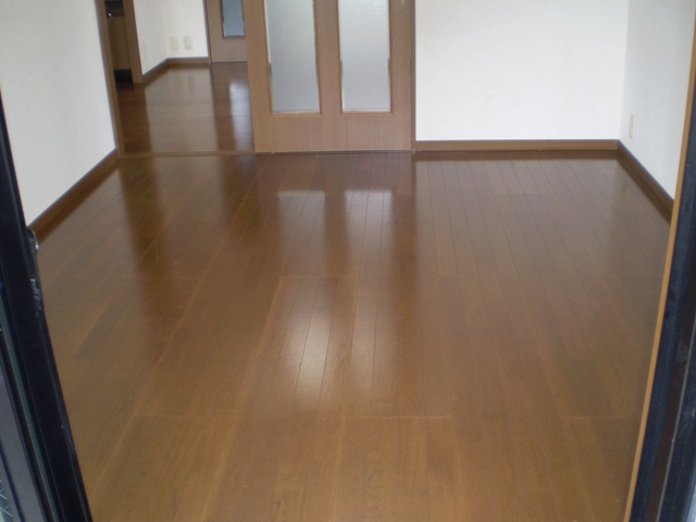 Living and room. Another Western-style (reference)