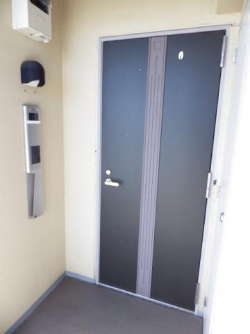 Entrance. It is the front door entrance door. 7th floor, This room is only 1 units.