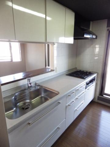 Kitchen. 4 is a neck gas system Kitchen. Easy cleaning in the shower faucet.