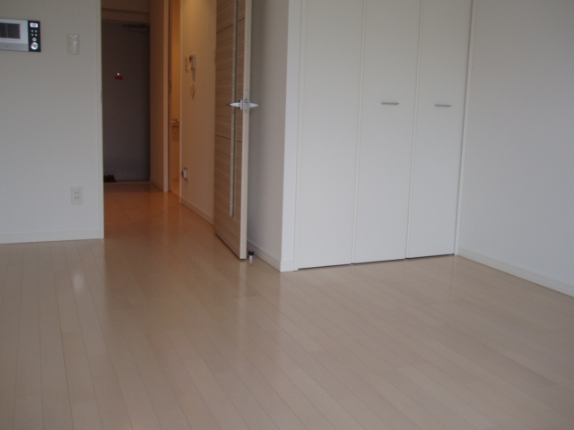 Other room space. Western style room