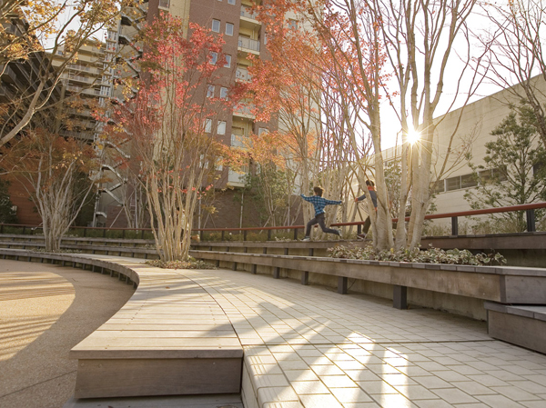 Shared facilities.  [Public open space within the site that sounds a child of laughter] Space of this about 5700 sq m, which can freely enter and exit the, It has been popular as a place of relaxation among residents. Children of the way home from school Ya, Landscape husband and wife who brought the dog is sitting on the bench in their own way is, The apartment have shown that it is functioning as the location of the alternating current across generations rather than a place just life. (December 2009 shooting)