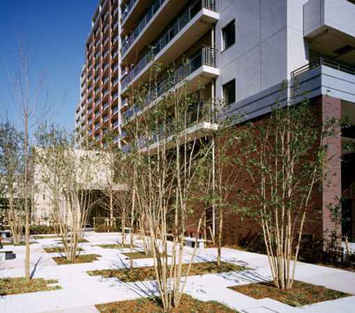 Features of the building.  [Facade design wrapped in green] <Tokiwadai Garden Society> is to birth, New city block that is adjacent to the commercial complex. This new urban area in order to scale up, First planting a new tree. Adorned more green richly Avenue.