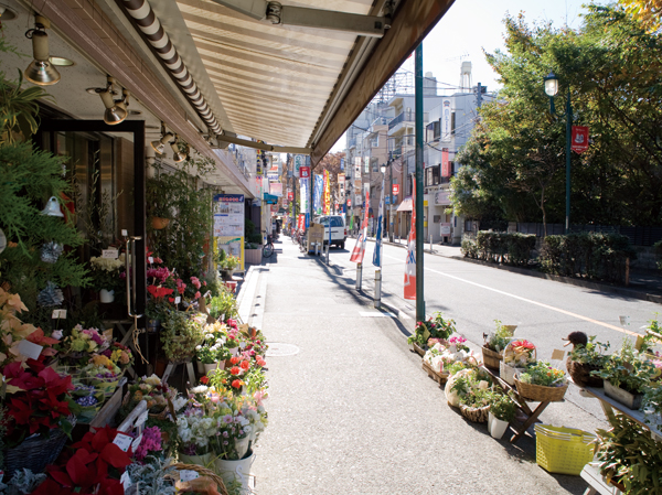 Surrounding environment. Shopping street. Clearly divide the residential area and shopping area, Make a quiet street. (About 480m)