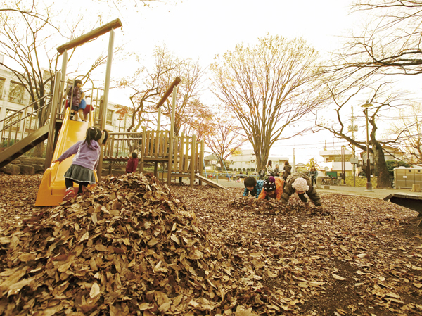Surrounding environment. Tokiwadai park. Walking the streets of Tokiwadai, Are reminded abundance of park. It not may become a leaf covered, This town that play where scattered infatuated is, Likely say livable place for children to workers. (About 550m).