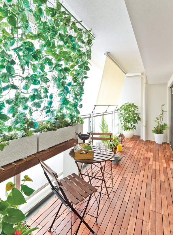 Room and equipment. Block the sunshine of summer, Make a cool breeze by the transpiration action with the plant, Green Curtain. Grow, such as Goya and loofah, You can also harvest. In <Eco-Village Takashimadaira Akatsuka Park>, Dedicated garden tub and nets and hooks on the balcony, Standard equipped with a slop sink. Feel free to enjoy the green curtain making. (Model Room B type)