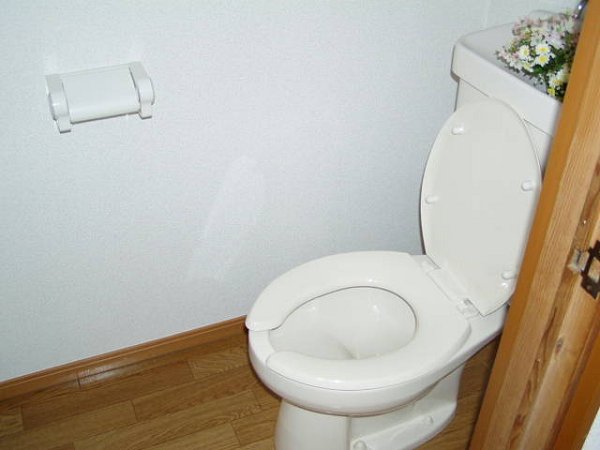 Other. Toilet
