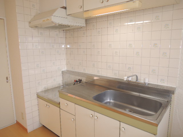 Kitchen. Gas stove installation type