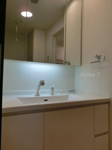 Wash basin, toilet. Large mirror and a shower faucet is the point!