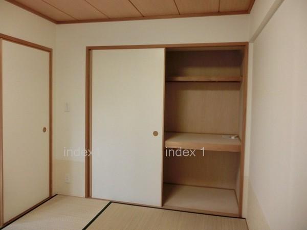 Non-living room. Luggage neat in the closet of the depth plenty!