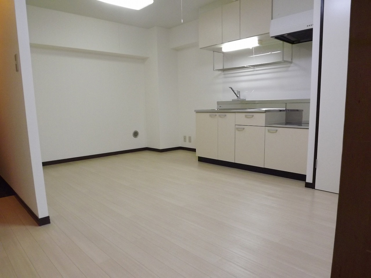 Living and room. LDK