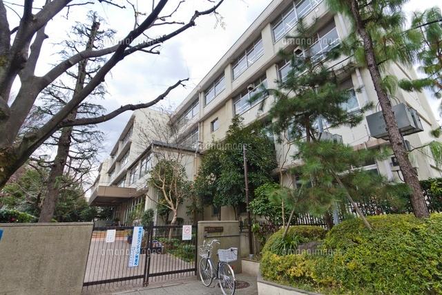 Junior high school. 517m to Itabashi Itabashi first junior high school