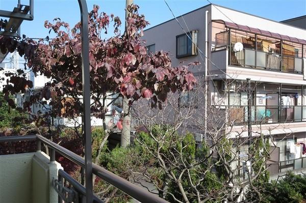 View photos from the dwelling unit. Planting feel the four seasons is located in the surrounding area ・ Good view