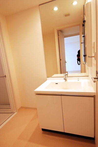 Washroom. Independent wash basin of one side mirror. 