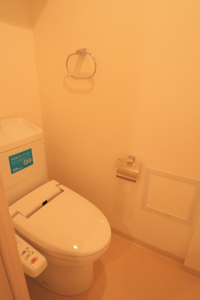 Toilet. Washlet toilet. Yes upper receiving. 