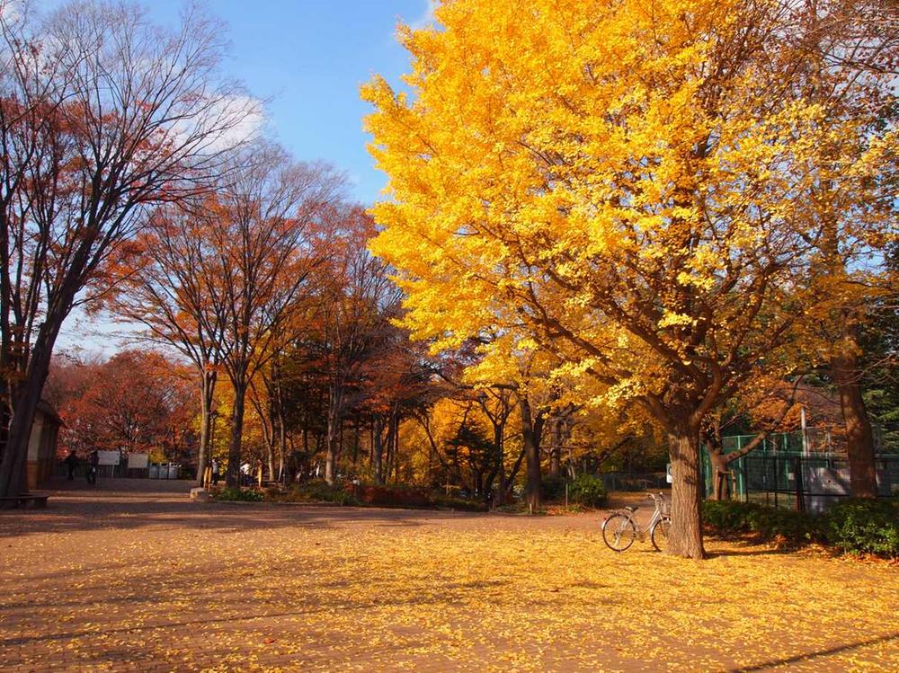 park. Johoku to Central Park 280m