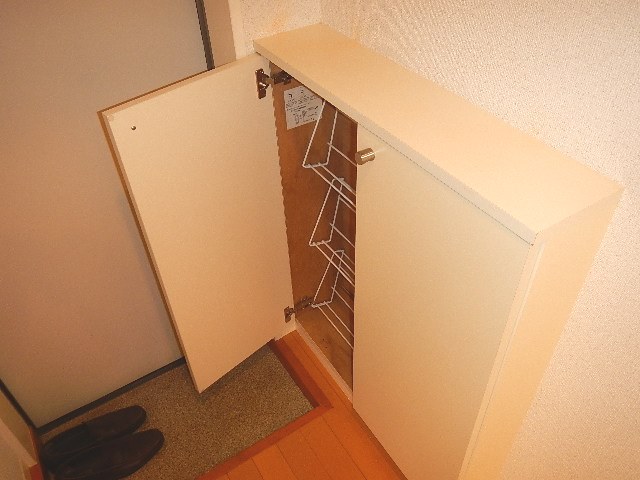 Entrance. Entrance storage