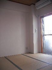 Living and room. Japanese style room