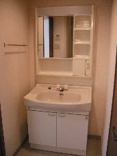 Washroom. Convenient vanity