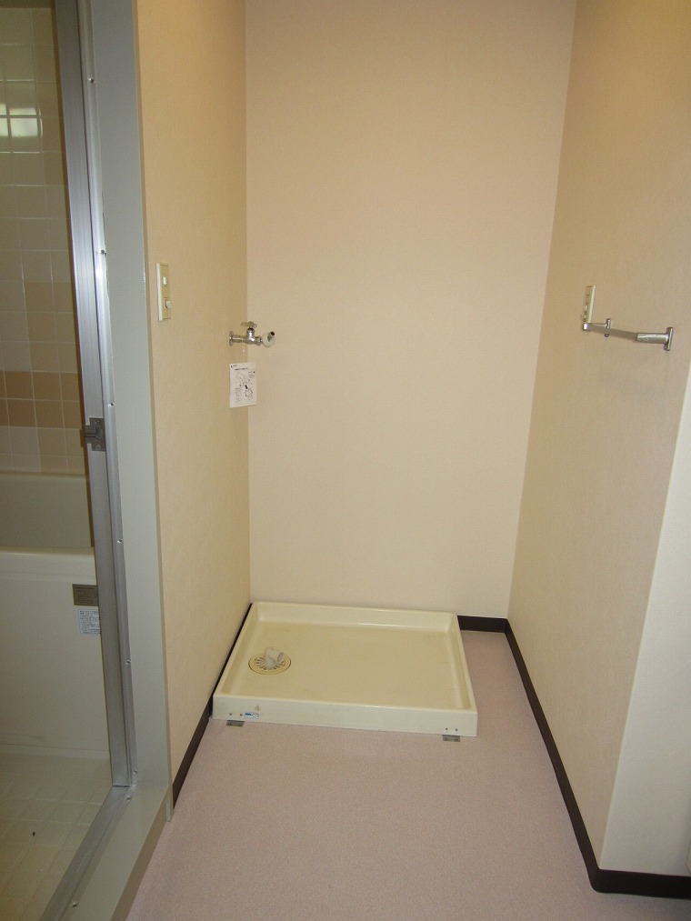 Washroom. Laundry Area