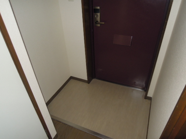 Entrance. Shoes with BOX