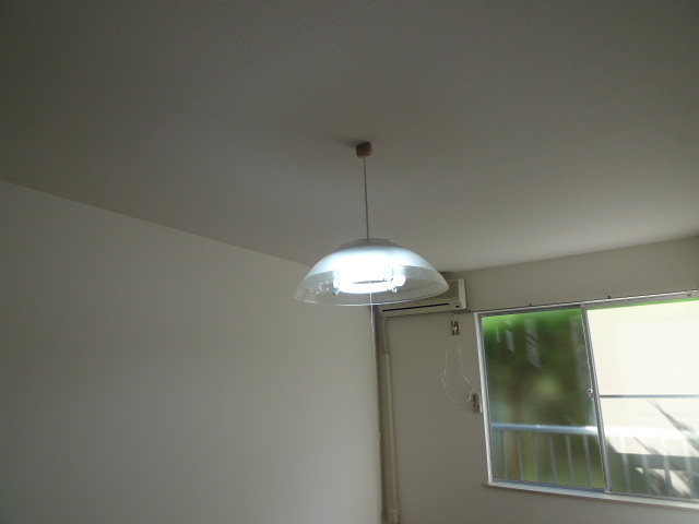 Living and room. Lighting fixture is leaving product. 