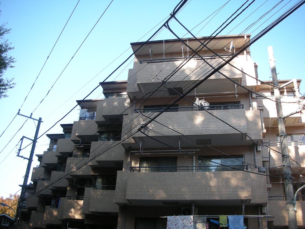 Local appearance photo. Local (11 May 2013) Shooting