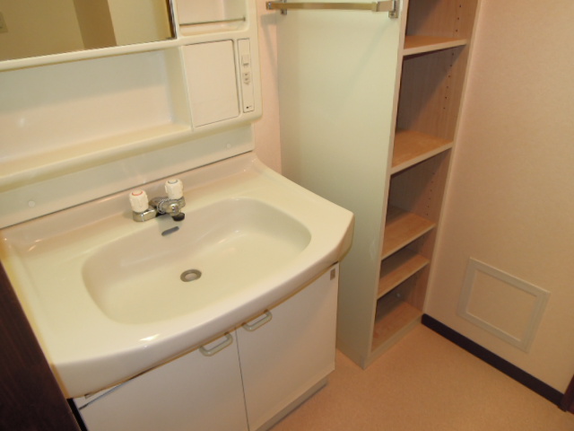 Washroom. Wash basin