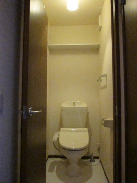 Toilet. Warm water washing toilet seat