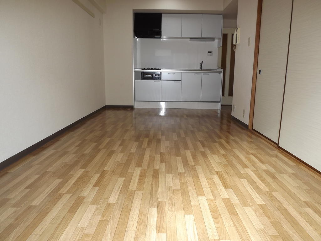 Living and room. LDK