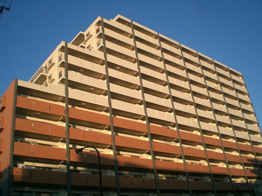 Local appearance photo. Local (January 2014) Shooting