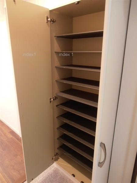 Receipt. Entrance housed with mirror of tall size!