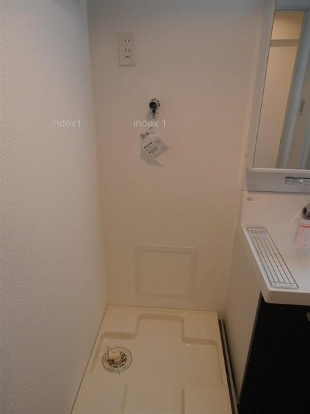 Wash basin, toilet. There is also indoor washing machine Storage!