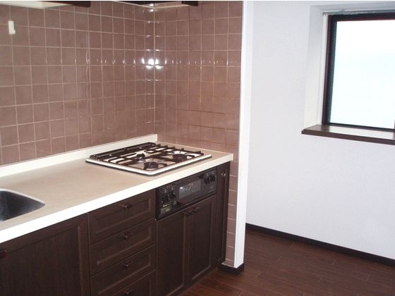 Kitchen. 3-neck gas grill with a system kitchen (^_^) /