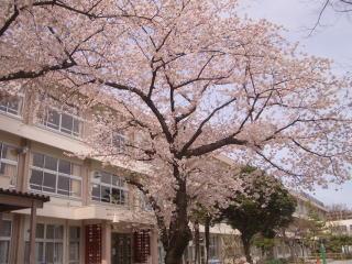 Primary school. San'en until elementary school 190m