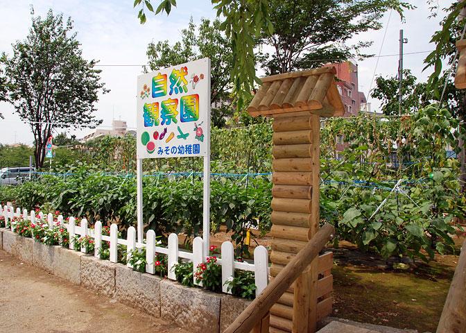 kindergarten ・ Nursery. 240m until the miso of kindergarten