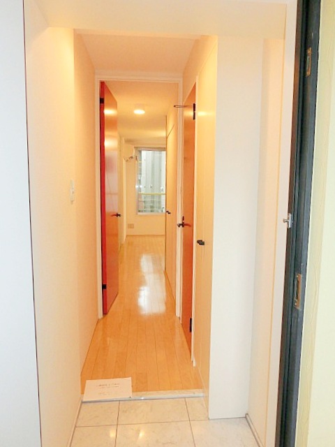 Entrance. Entrance hall