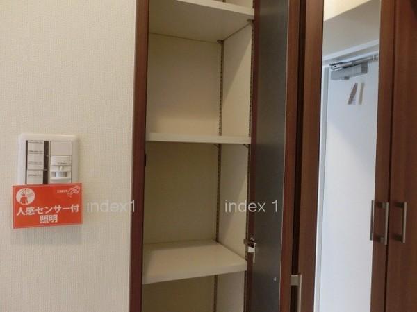 Receipt. Neat luggage at the door storage with depth!