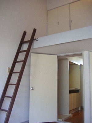 Living and room. It is also housed in the loft!