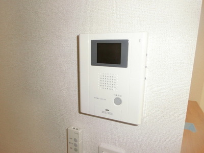 Security. TV monitor Hong