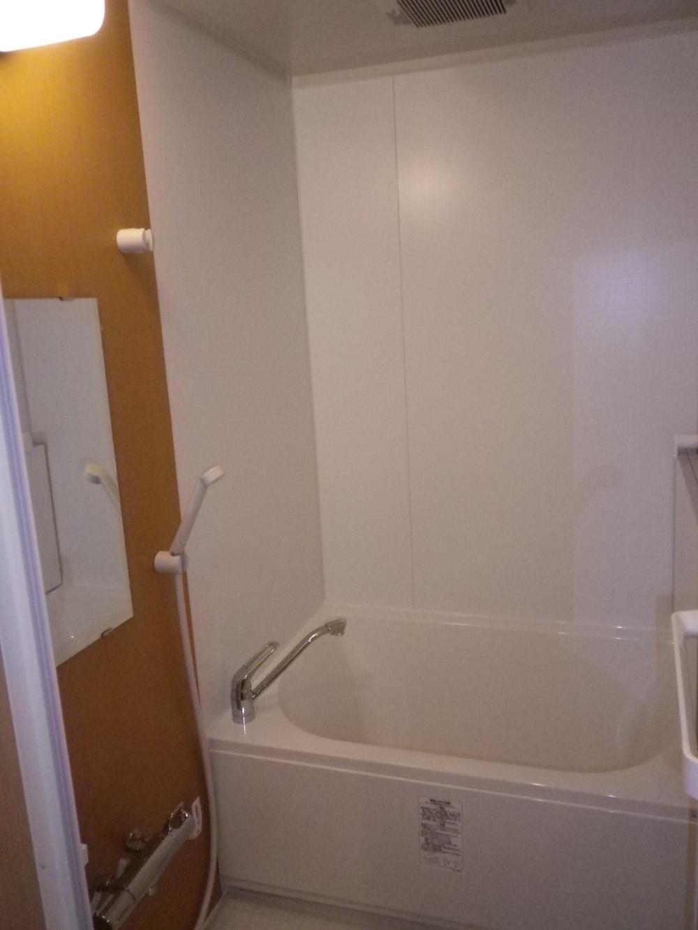 Bathroom. Indoor (11 May 2013) Shooting